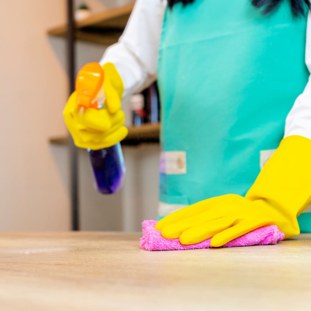 Maid is cleaning the house